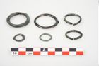 Foto von Bronzering (NHMW-PRAE-025429)